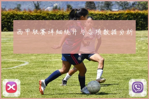 西甲联赛详细统计与各项数据分析