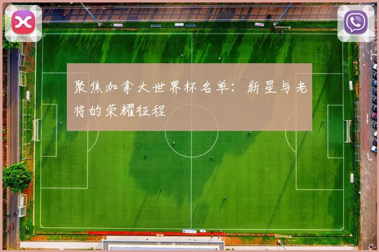 聚焦加拿大世界杯名单：新星与老将的荣耀征程