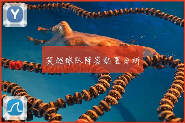 英超球队阵容配置分析