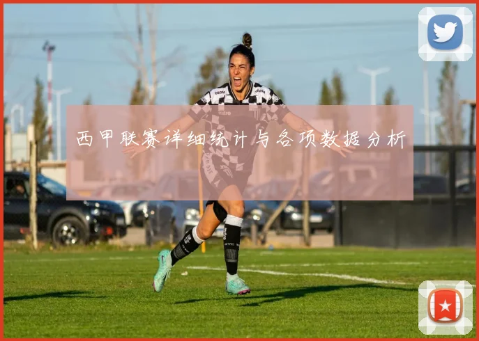 西甲联赛详细统计与各项数据分析