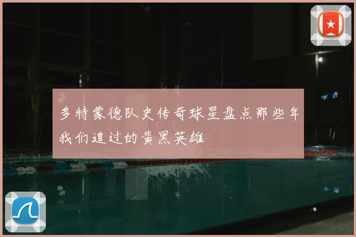 多特蒙德队史传奇球星盘点那些年我们追过的黄黑英雄